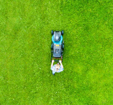 Landscaping Lawn Mowing Company