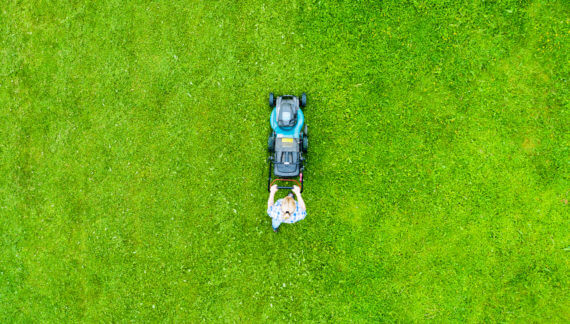 Landscaping Lawn Mowing Company